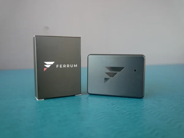 Ferrum - Image 5
